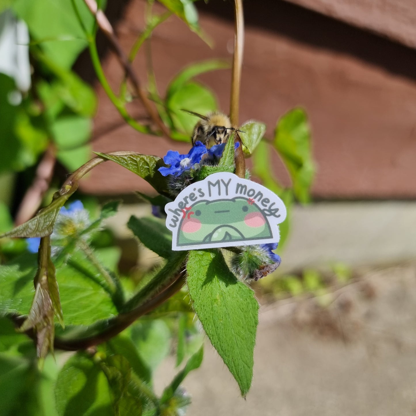 Felipé Money Sticker