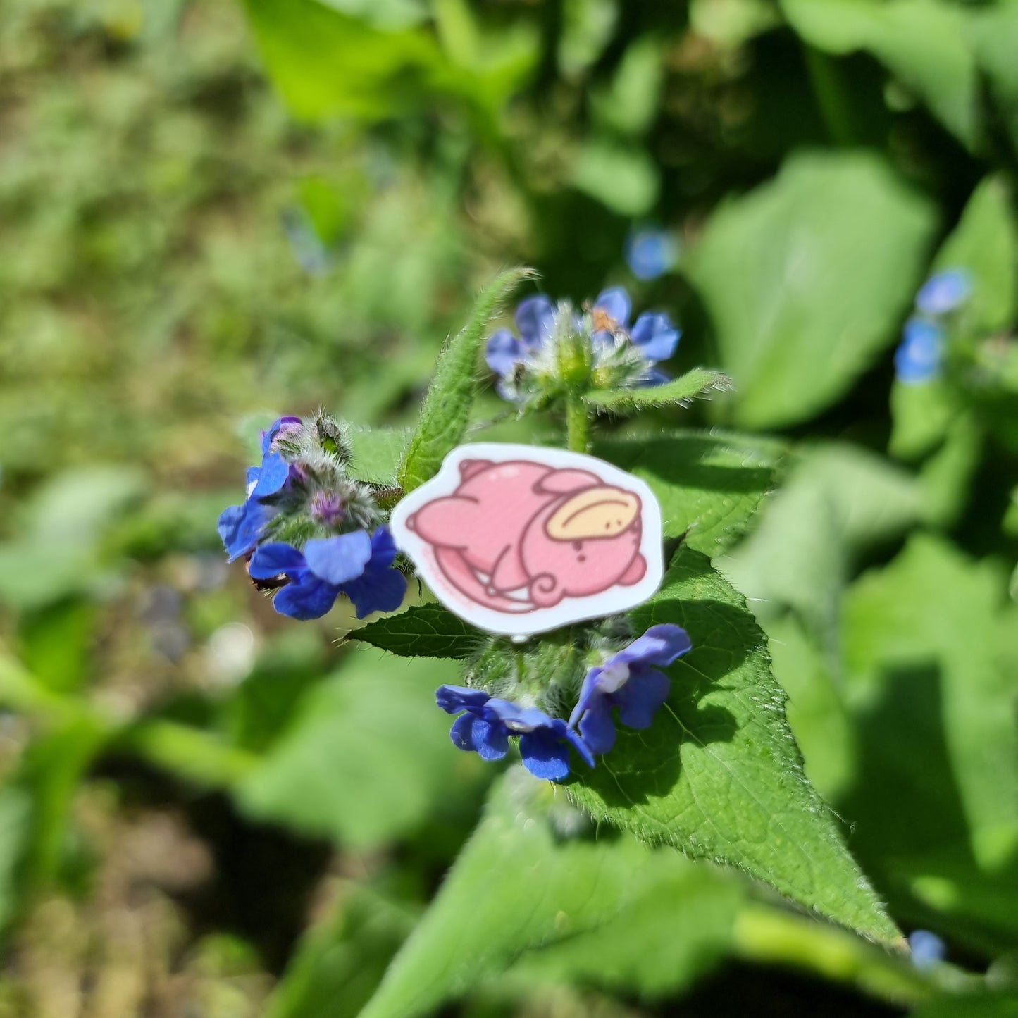 Slowpoke Eepy Sticker