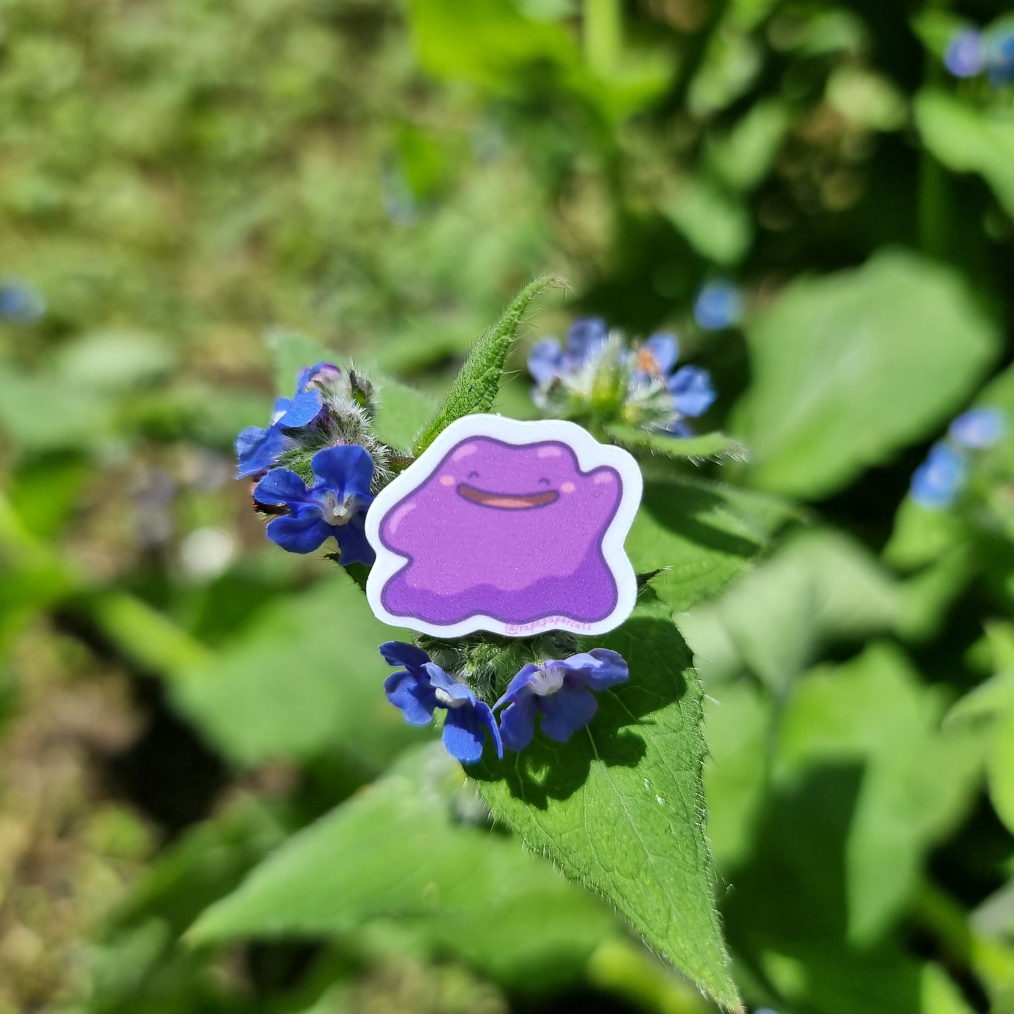 Ditto Sticker