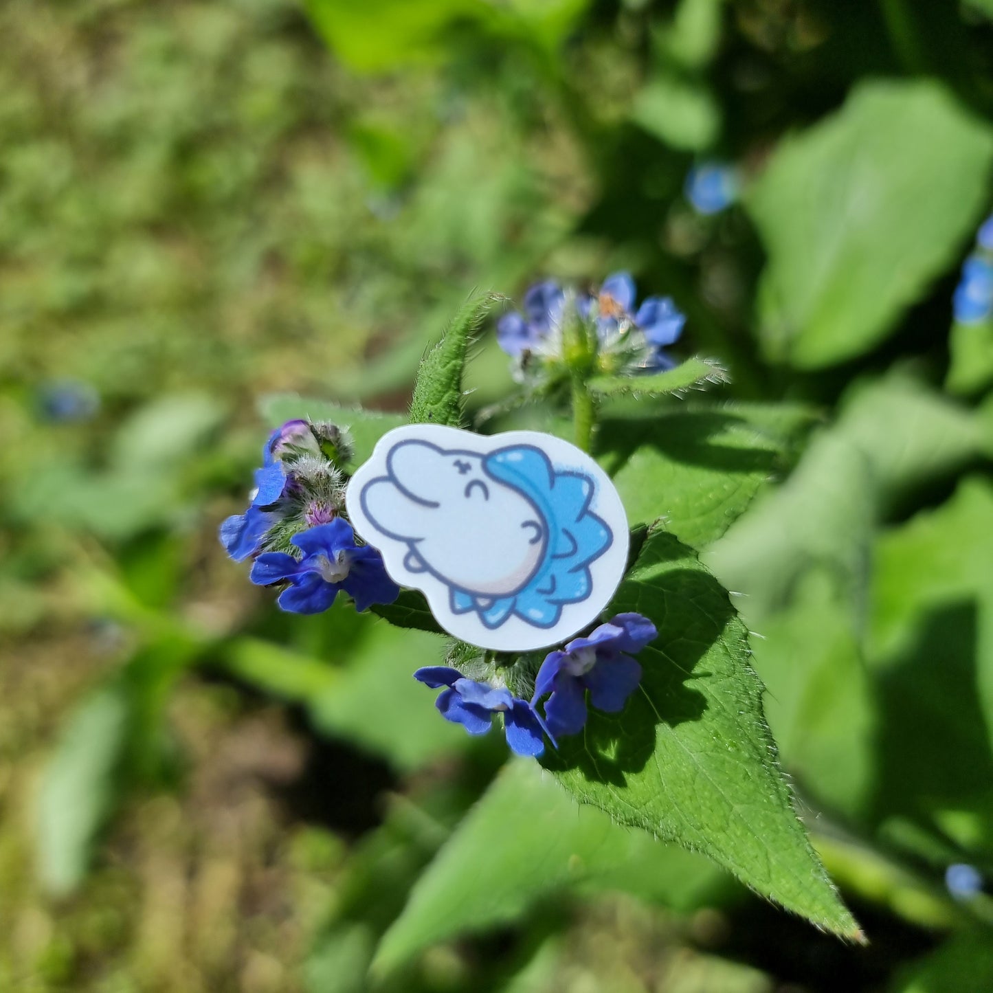 Snom Sticker